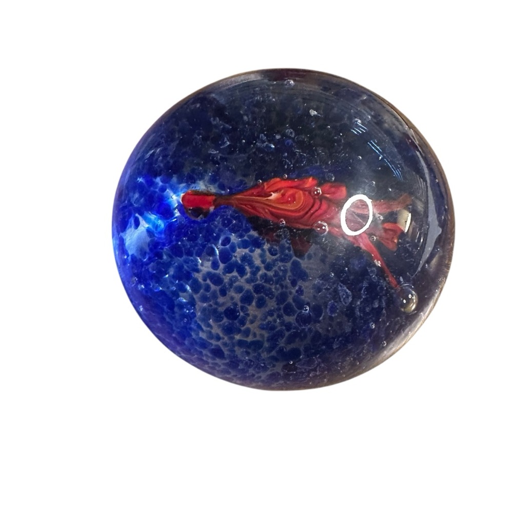 Blue and Orange Glass FishHand-Blown Art Glass Paperweight